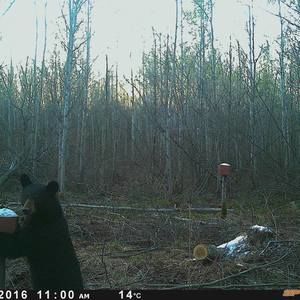 Meet your Posher, Eric